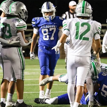 Tweet card summary image