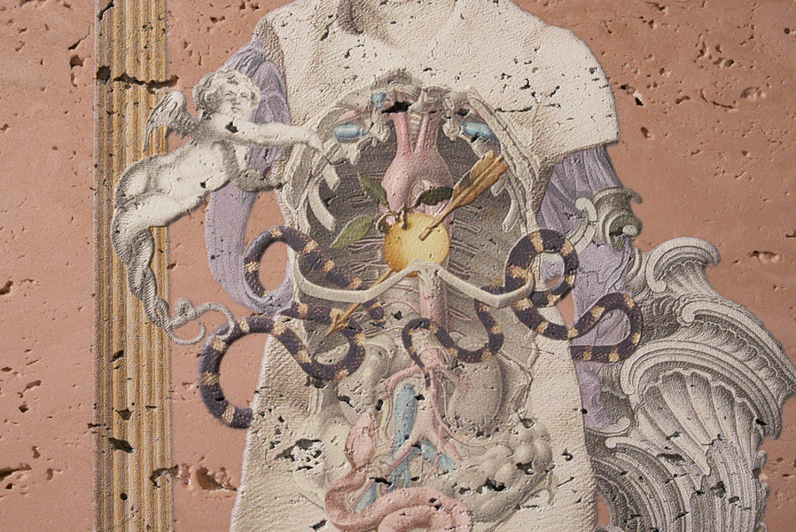 geekart_global's tweet card. Series PolyphonyIf you were me – あなたがもし、私だったら –Eimi Suzuki Exhibition 'Pale Weight' 本展では、新たにGEEK/ARTが立ち上げたシリーズ「 “Polyphony” 多声性-もしあなたが私だったら」をテーマに、マルチアーティスト スズキエイミを迎え、「より良い共生」の在り方を探求する試みを実施します。身体的・精...