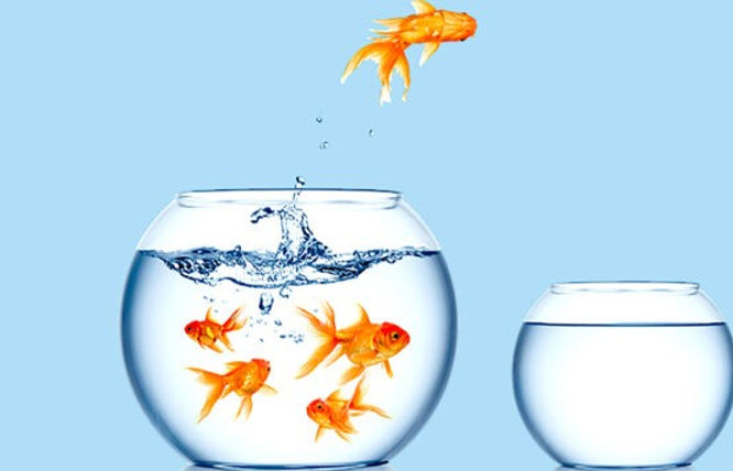 GetDocsNow's tweet card. Working with a smaller business has advantages that you simply can’t find when dealing with larger businesses. Here are some of the common reasons businesses and consumers alike prefer the advantages...