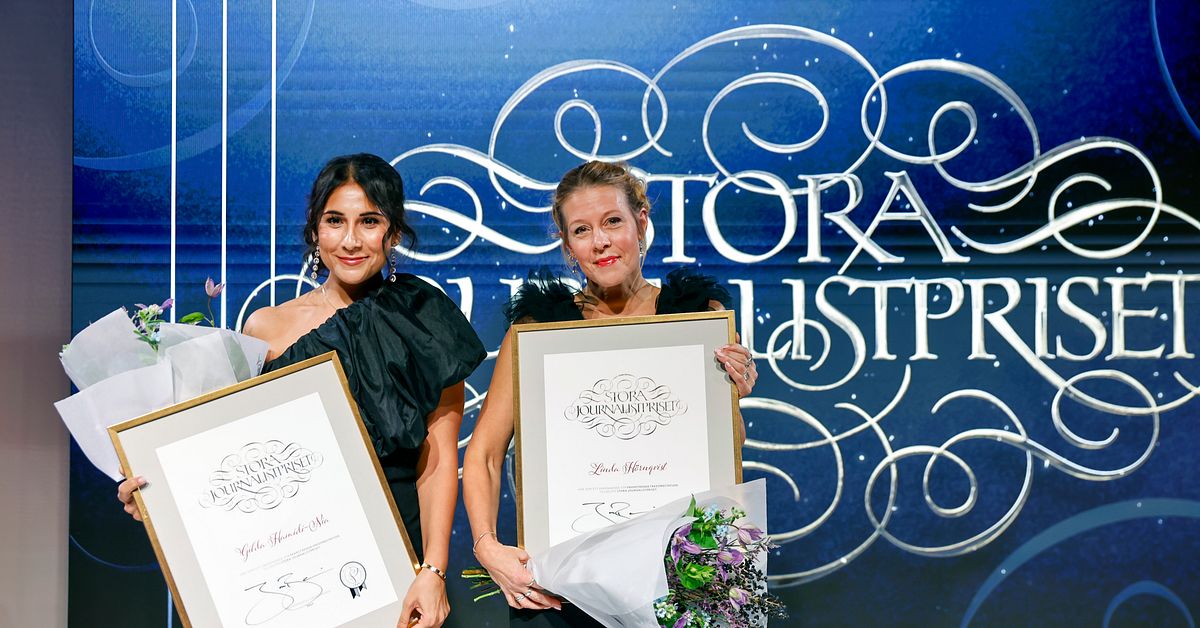 Matolja2's tweet card. Ett avslöjande som fick den nationella säkerhetsrådgivaren att avgå, satirisk fredagsunderhållning och en ofiltrerad dokumentär från ett stängt Gaza. Det var något av det som belönades på årets Stora...