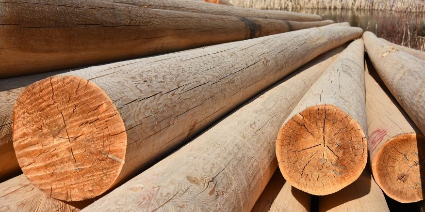 UniforTheUnion's tweet card. TORONTO– Unifor is encouraged by new federal government support measures for the forestry and steel industries, both of which have been hard-hit by the ongoing U.S. trade war.