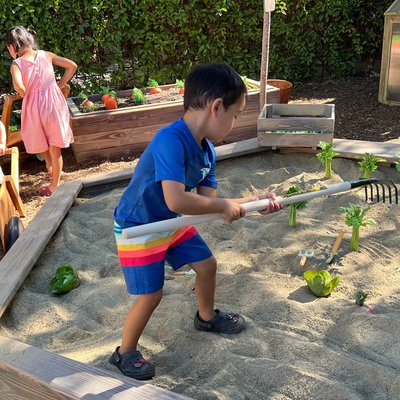 Tweet card summary image