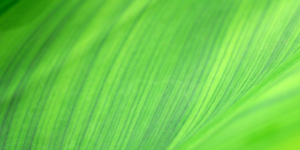 Ruzickacpacitp's tweet card. Retailers have experienced a notable shift in consumer behavior towards more sustainable products and conscious consumption. Learn more.