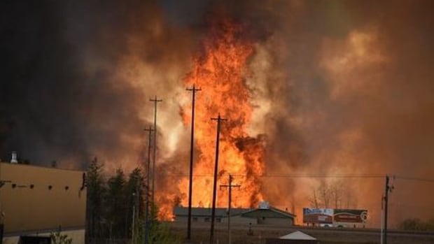 warnicam's tweet card. A company at the centre of a controversy over Fort McMurray wildfire cleanup fired several workers after it received a threat that the company would be reported to the government, CBC News has...