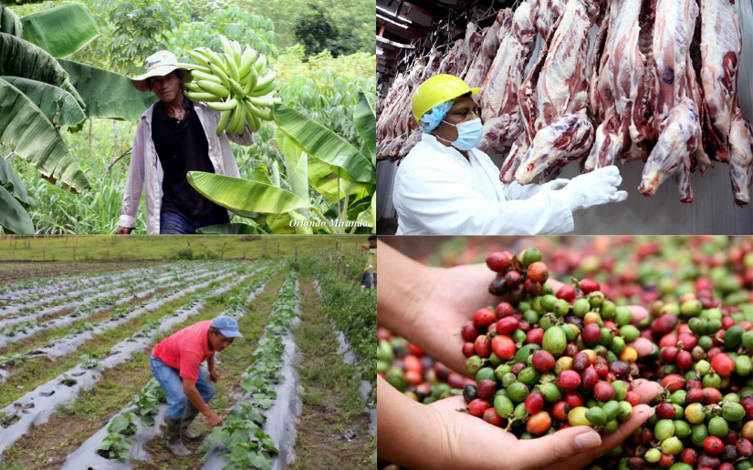 SPIEX_NIC's tweet card. Los compañeros Jeovani Francisco Álvarez, secretario general del Ministerio Agropecuario (MAG), y Ricardo Somarriba, director ejecutivo del Instituto de Protección y Sanidad Agropecuaria (IPSA),...