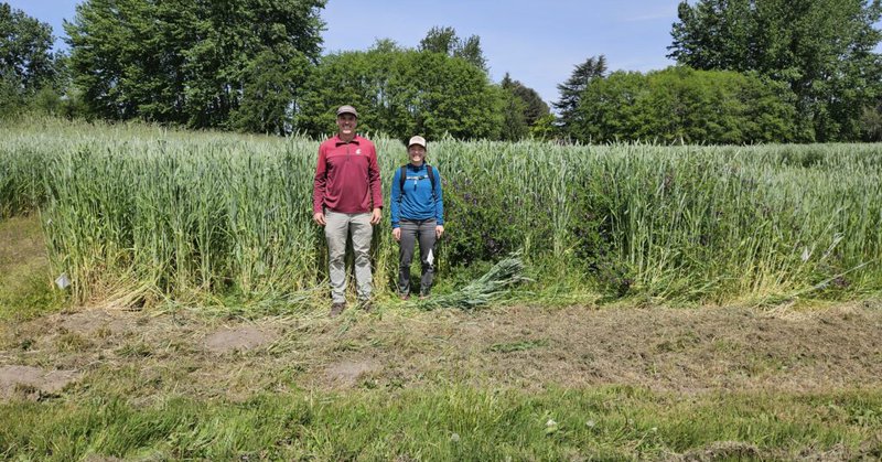 Tweet card summary image