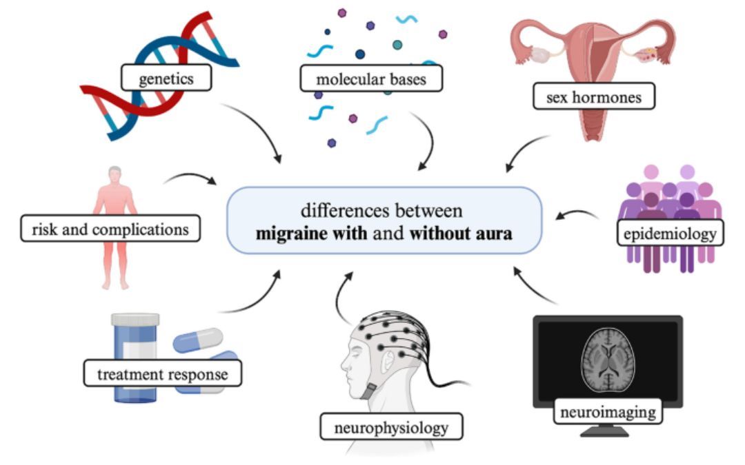 VisualSnowInit's tweet card. Based on: “Migraine with and without aura—two distinct entities? A narrative review” by Grodzka et al., on behalf of the European Headache Federation School