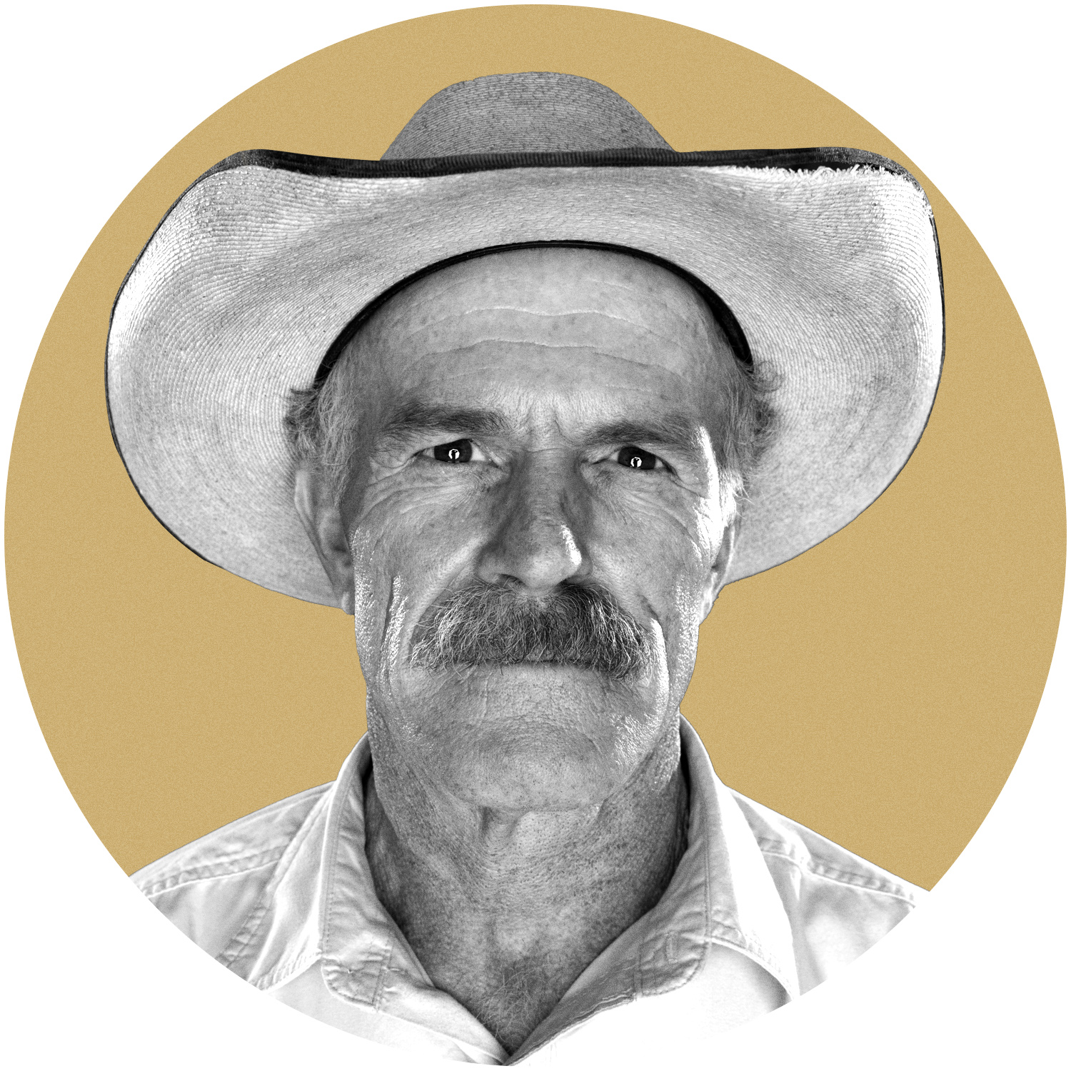 TheOnion's tweet card. Well, well, well. What have we got here? Another city slicker who thinks he can waltz into my town and start causin’ all sorts of trouble. I’d be careful if I was you, fella. Because however they do...