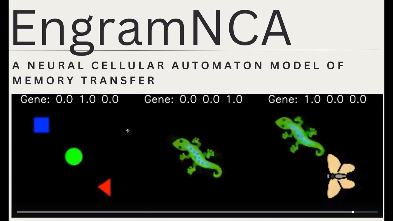 DigPhysics's tweet card. "A Neural Cellular Automaton Model of Memory Transfer" by Etienne...