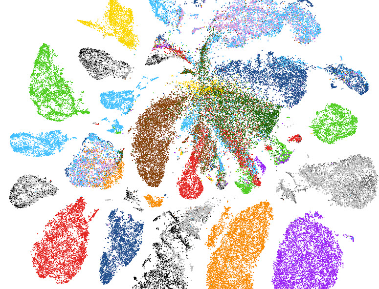 HHMINEWS's tweet card. By probing how DNA is packaged in single mouse cells, scientists have uncovered how different types of cells distinguish themselves.