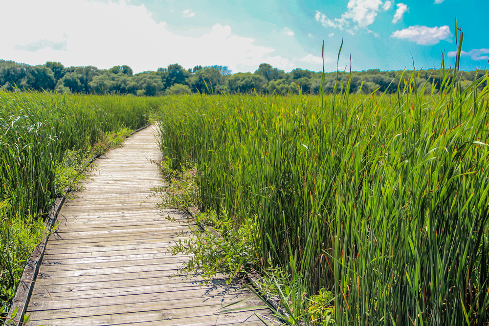 DistinctiveImpr's tweet card. If you have the privilege of being with a person who is conscious at the time of their death, you find the questions such a person asks are very simple: “Did I love well?” “Did I live fully?” “Did I...