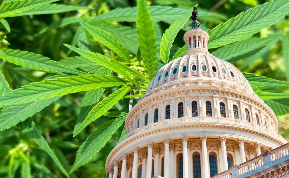StockWatchIndex's tweet card. A group of Democratic lawmakers on Friday reintroduced legislation to legalize marijuana at the federal level. If passed, the bill would remove cannabis from the nation’s list of controlled substan...