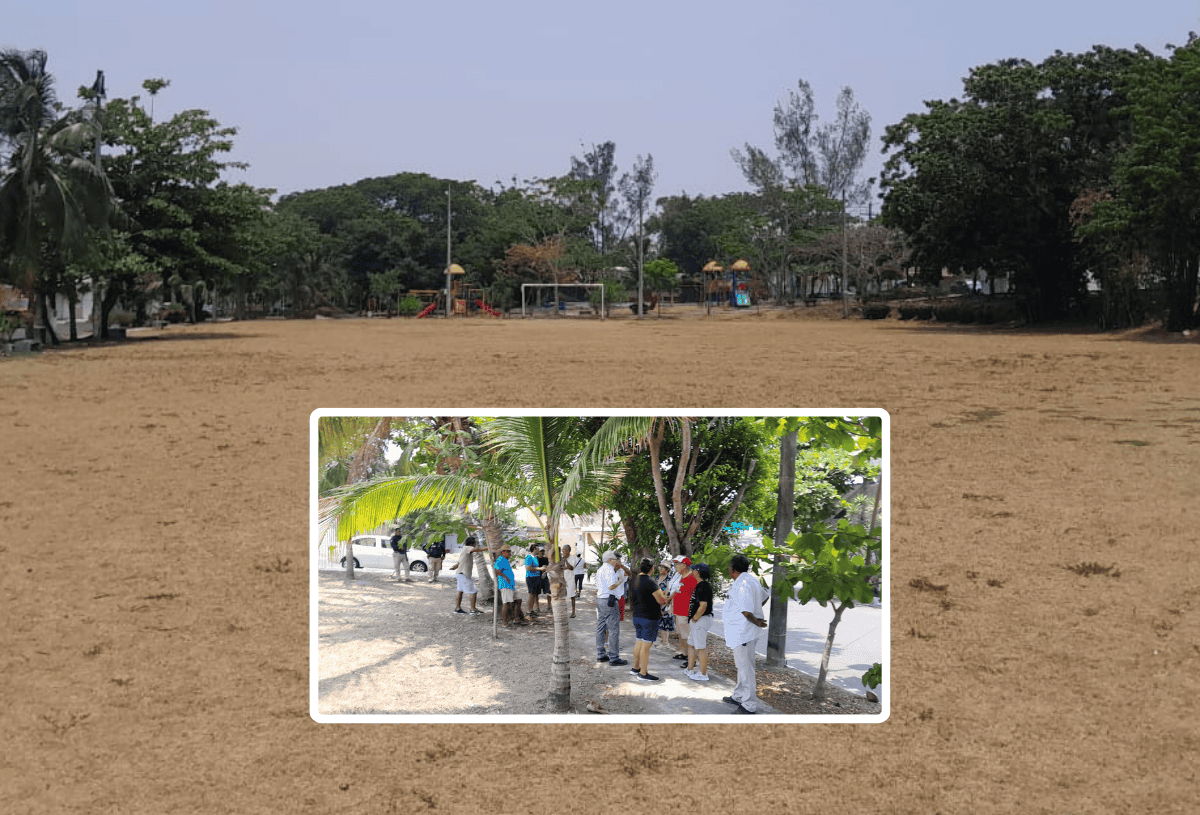 ImagendeVer's tweet card. Vecinos evitan que particular se apropie de parque en fraccionamiento La Tampiquera de Boca del Río.