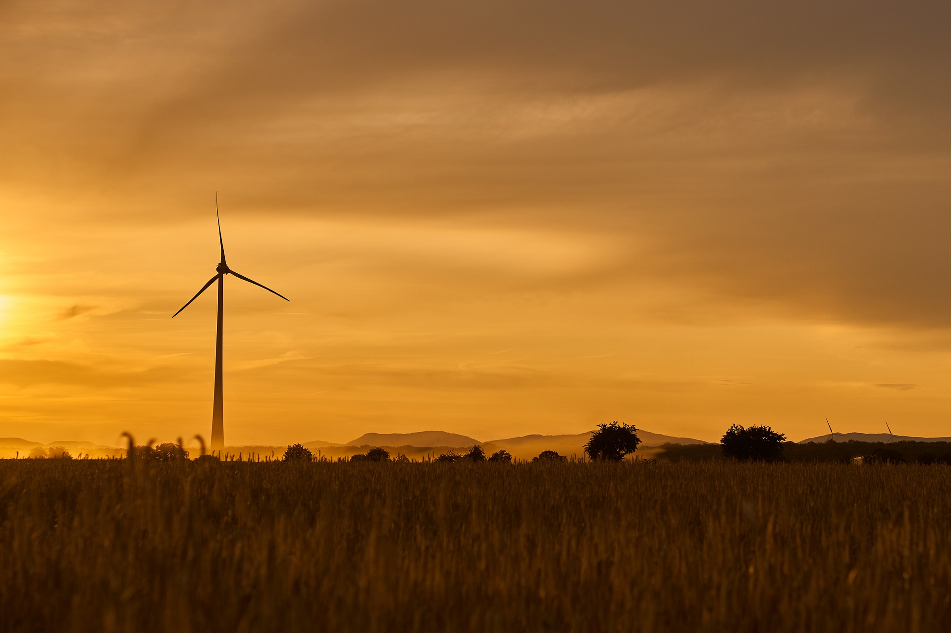 AcrossGreenBlog's tweet card. The green premium is the difference in price between a product made with fossil fuels and its sustainable alternative. Learn more in our post.