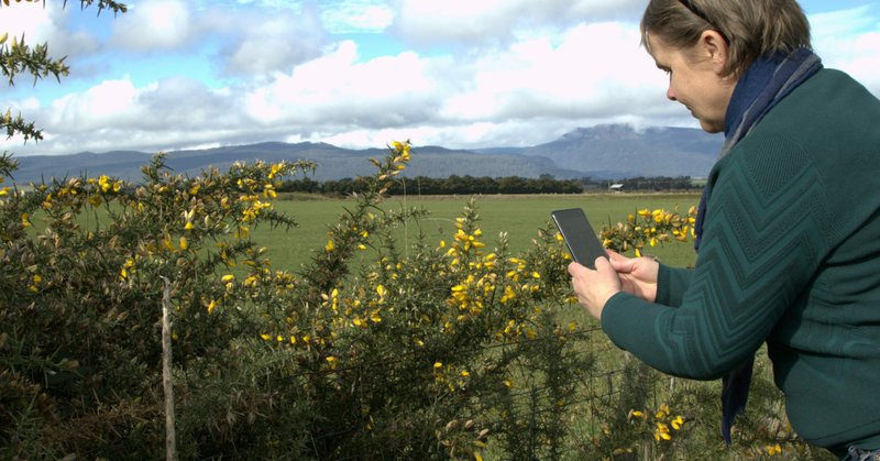 Tweet card summary image