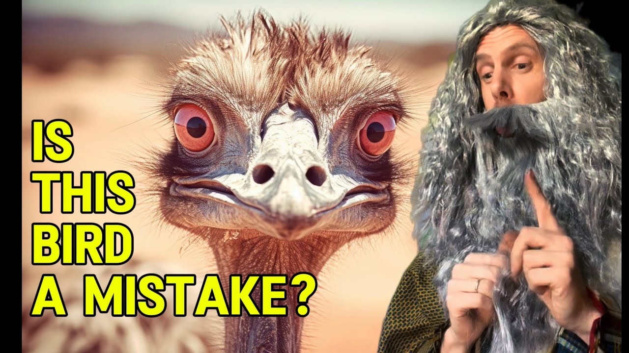 Leviticus_isFun's tweet card. Unclean Birds in the Bible: Why the Ostrich Doesn’t Fit