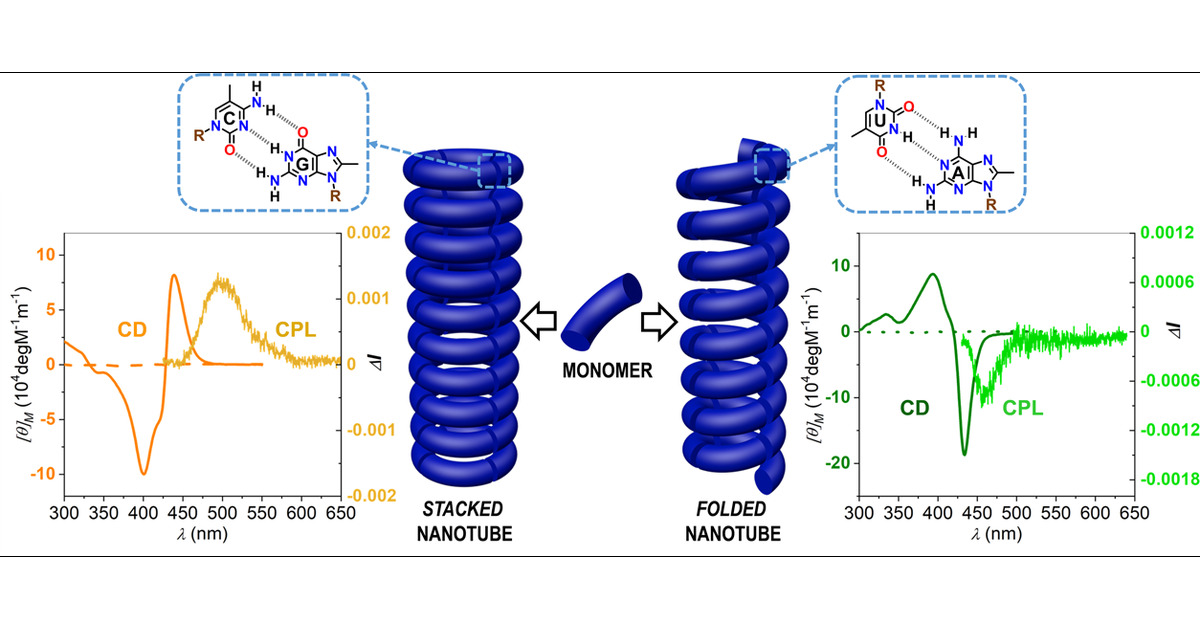 J_A_C_S's tweet card. Self-assembled nanotubes exhibit impressive biological functions that have always inspired supramolecular scientists in their efforts to develop strategies to build such structures from small...