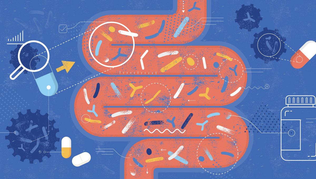 h_sokol's tweet card. Outre les probiotiques conventionnels indiqués pour soulager quelques symptômes bien particuliers, les probiotiques de nouvelle génération promettent de pouvoir améliorer la prise en charge des...