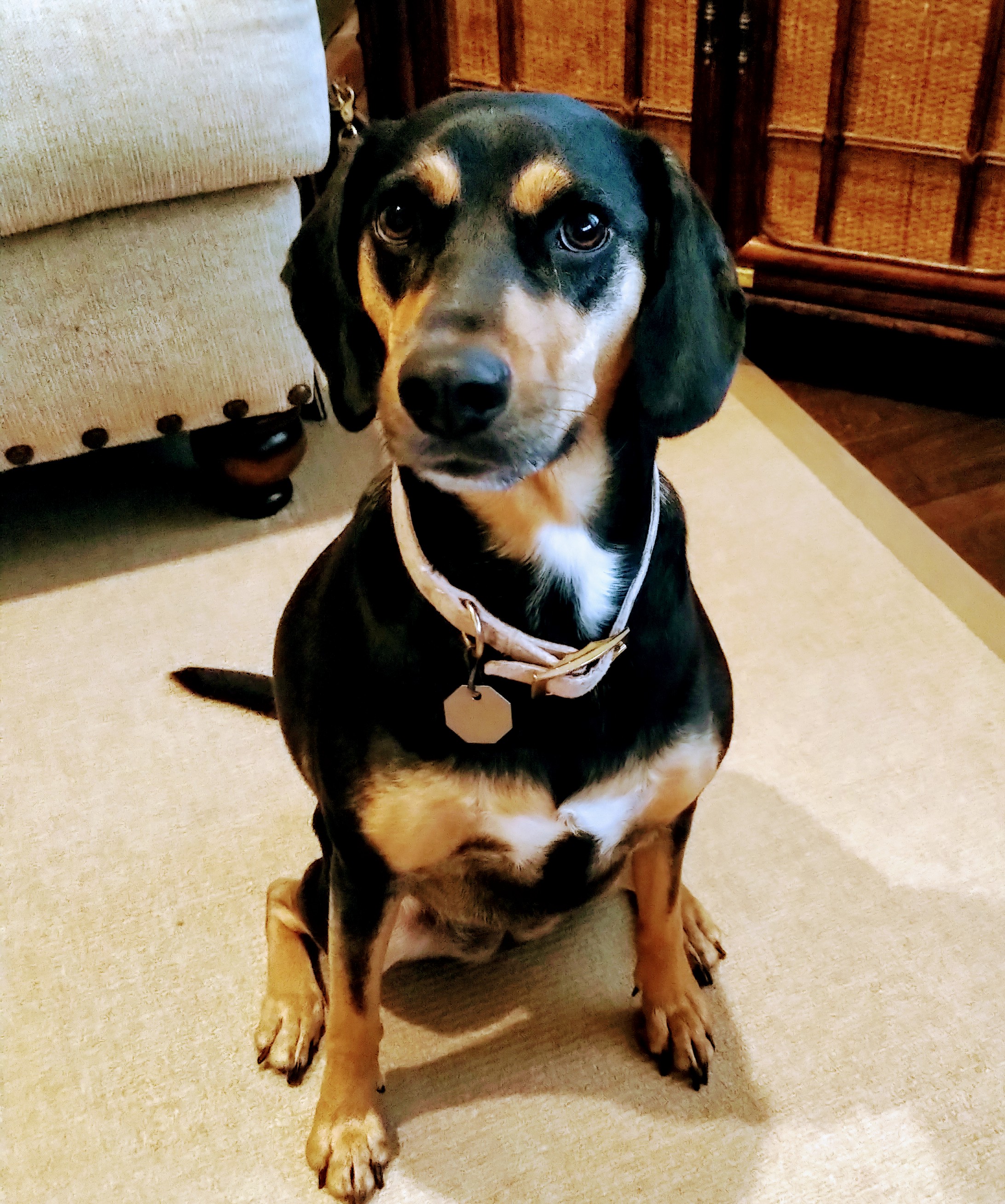 AlbertBridgeCap's tweet card. This is going to be an uncharacteristic departure for me. This story is deeply personal, for our family, and for our oldest son in particular.