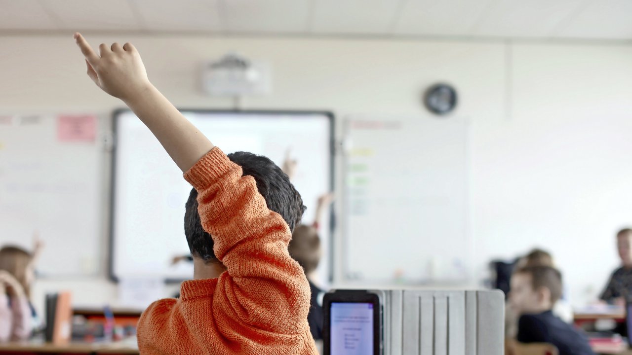 VanDammeEDU's tweet card. Nog niet zo lang geleden dachten ongeveer alle beleidsmakers en experts dat het met de kwaliteit van ons basisonderwijs wel snor zat. Nu blijkt dat 7 procent van de leerlingen uitstroomt zonder...