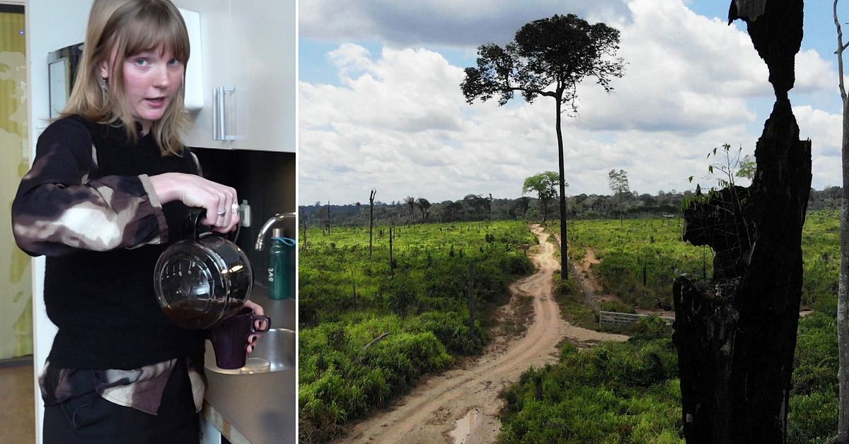 Matolja2's tweet card. Svenskarnas kaffedrickande spelar numera större roll för Amazonas avskogning än vårt köttätande. Det visar en rapport från Världsnaturfonden WWF i samarbete med Chalmers tekniska högskola och...