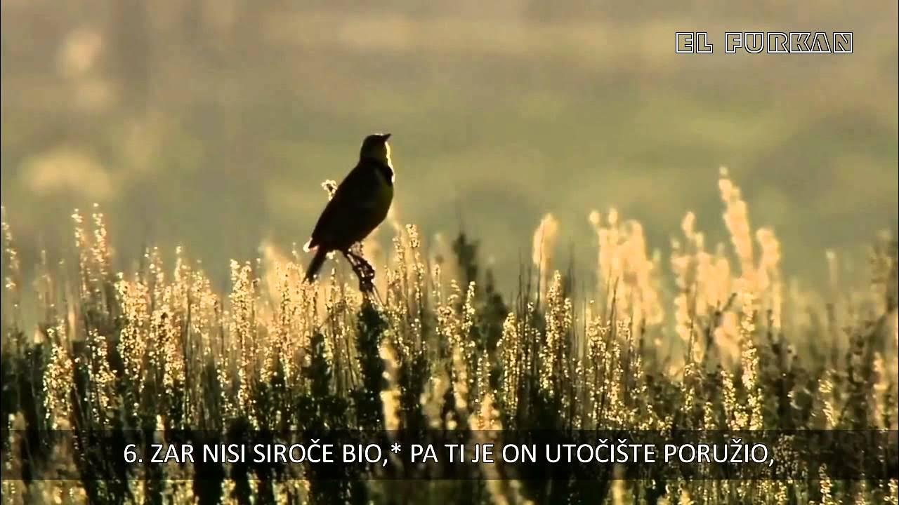 LanguageTeache5's tweet card. Lijek za depresiju ! Sura Ad-Duha (Jutro) Bosanski prevod