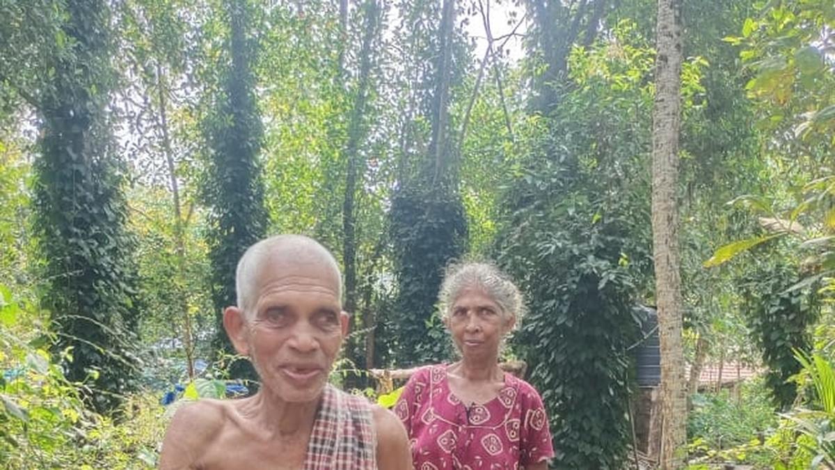 MCISLanguages's tweet card. The Chakaliya community in Kookanam, Kannur is at risk of losing their unique language Madhika, with no interest from the younger generation.