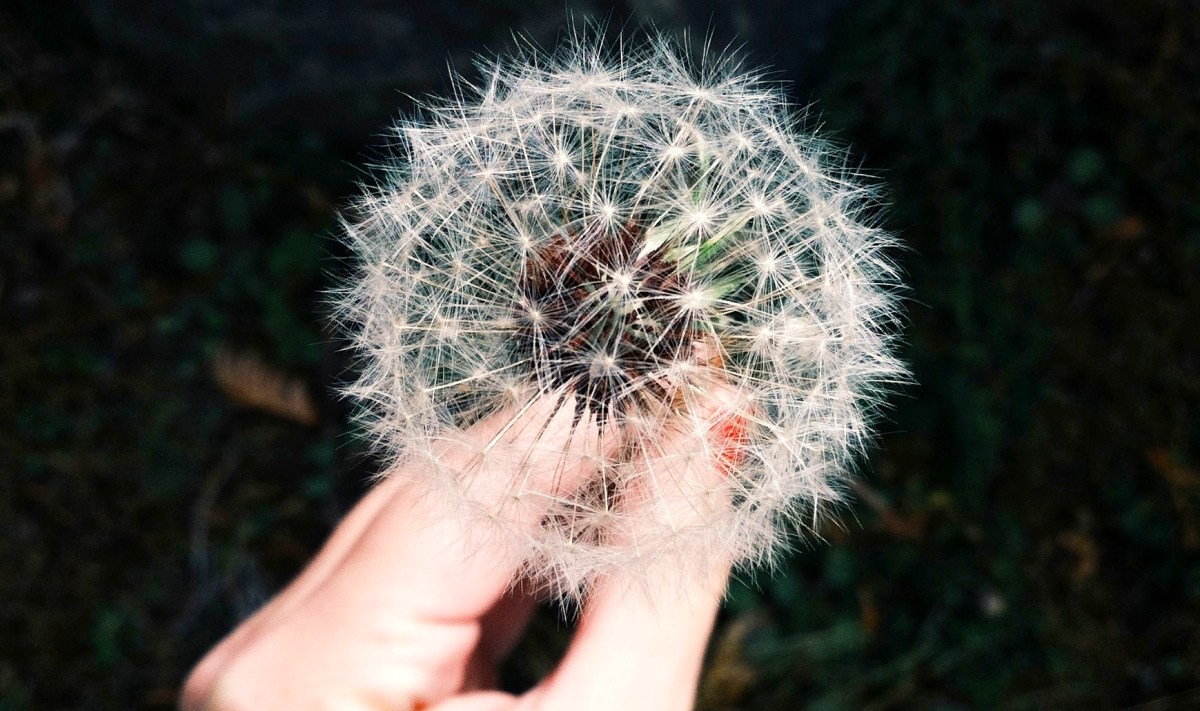 MiriamBold's tweet card. French startup Deepomatic just raised $1.4 million (€1.2 million) from Alven Capital and business angels, such as Pierre Valade and Jean-Charles Samuelian. The company has built a smart search engine...