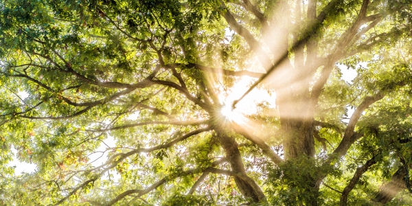 ISPScience2016's tweet card. The educational landscape has been full of questions since the pandemic hit: how far behind are the students? What have they missed out on? How will they catch up? What gaps need to be filled? Will …