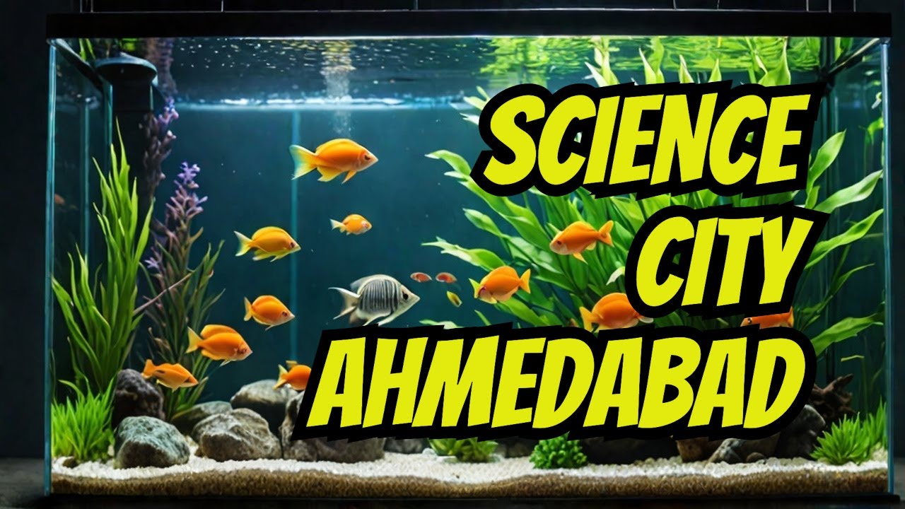 MayurPr54558684's tweet card. Science City Aquatic Gallery Full Tour | Ahmedabad Aquarium Experience