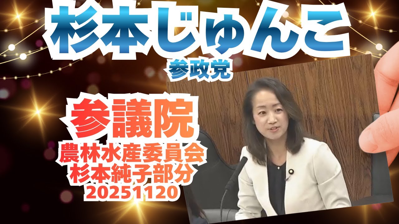 daimikandai's tweet card. 参政党【杉本純子】【杉本じゅんこ】参議院🍊農林水産委員会20251120