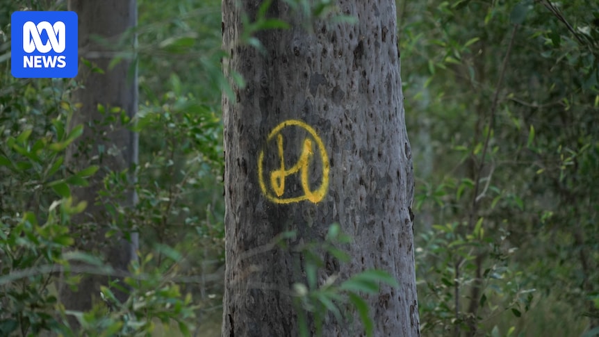 oskaandme's tweet card. The state government has assembled an industry only advisory panel as it works toward a 25-year plan for how state forests will be used.  