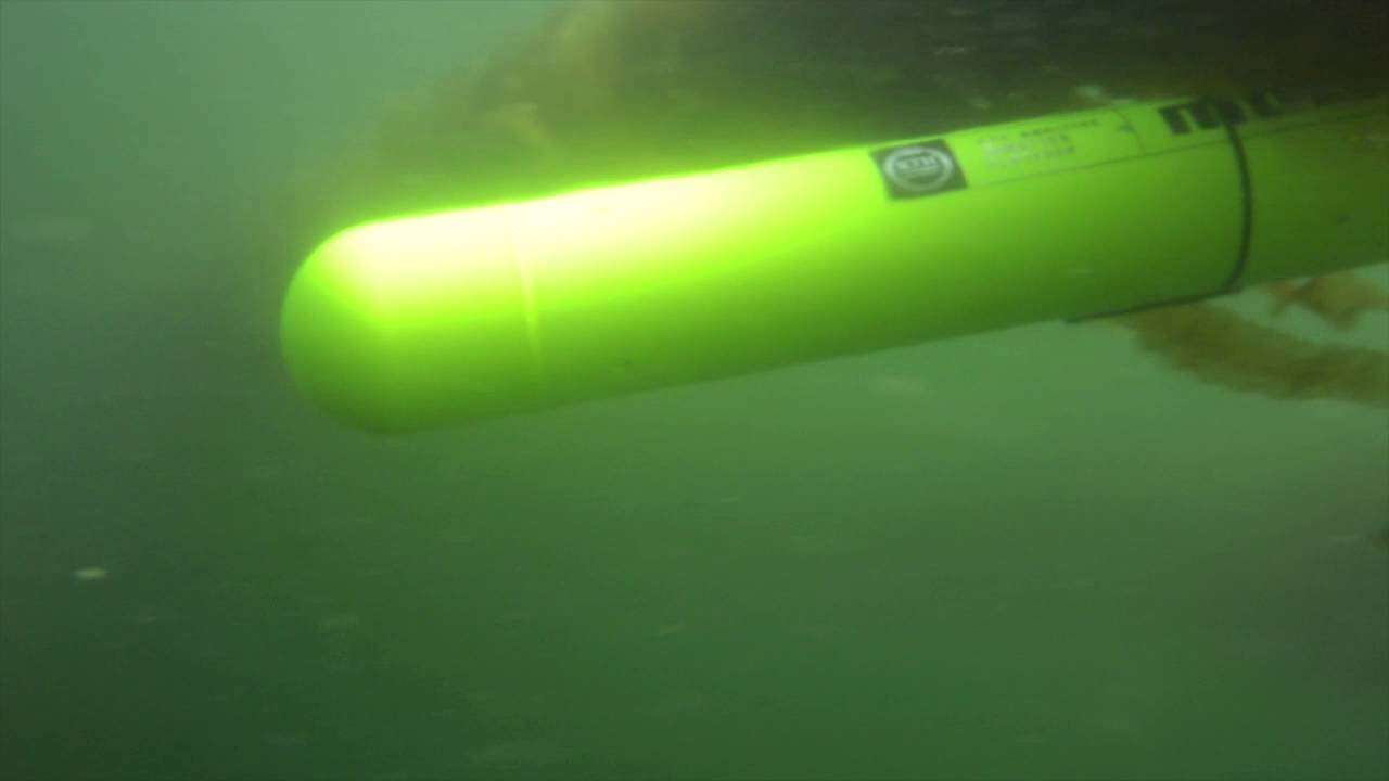 GSSRobotics's tweet card. AUV swimming in cultivated kelp