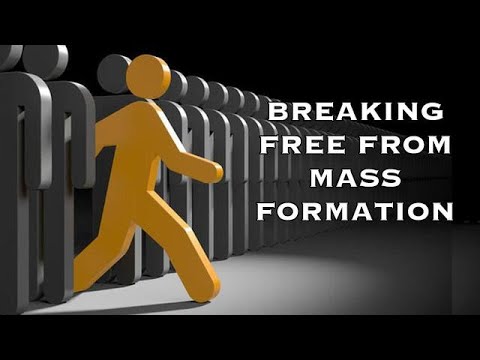 n4_reza's tweet card. Breaking Free From Mass Formation with Mattias Desmet