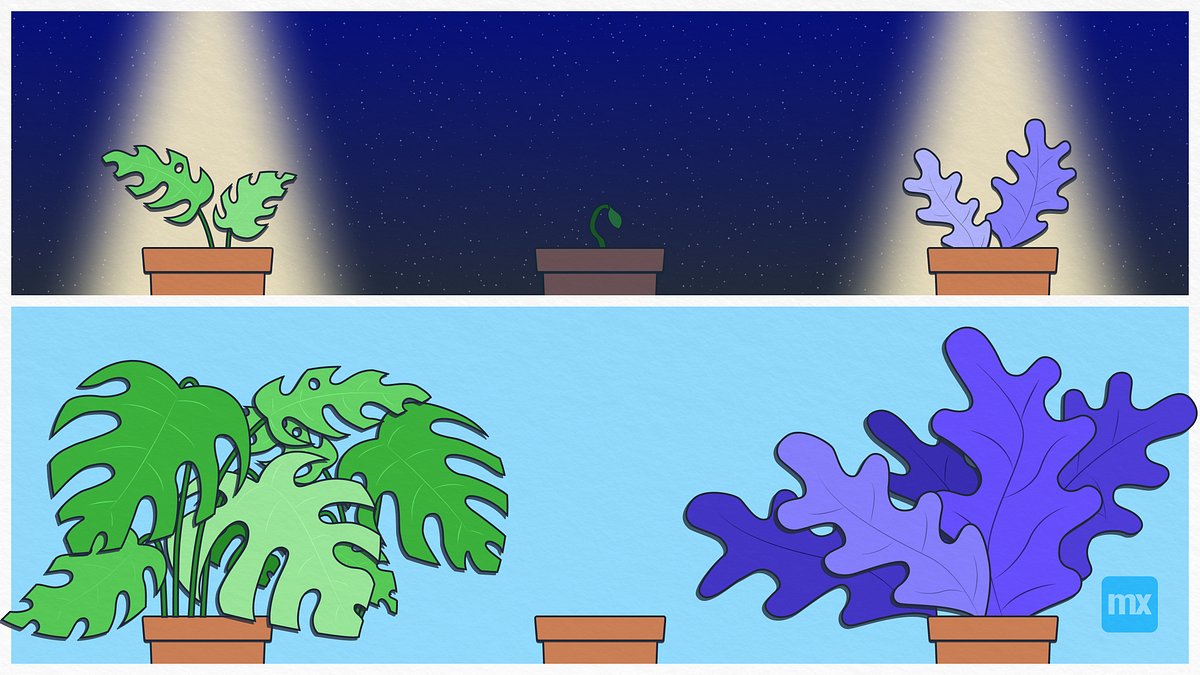 Mendix's tweet card. I recently stumbled across something that at first seems strange, but when having a detailed look is perfectly logical. If it is not…