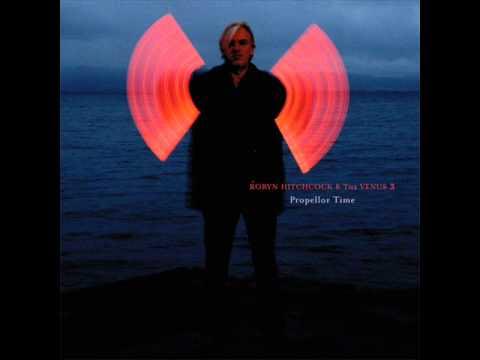 Howlinblindscot's tweet card. Robyn Hitchcock - Evolove