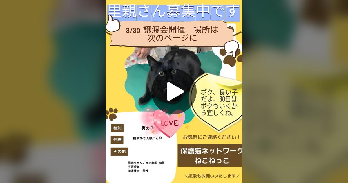 fuyxp8's tweet card. Check out k.09’s post.