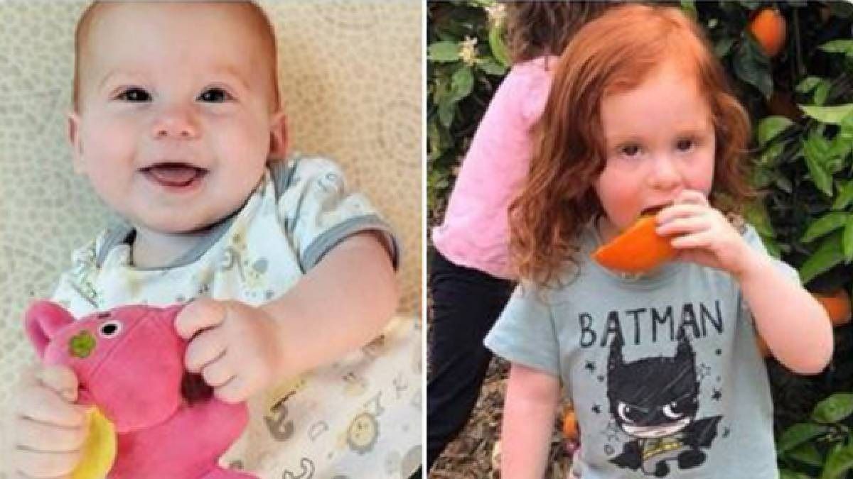 IndiaTodayNE's tweet card. In a shocking revelation, the Israel Defense Forces (IDF) stated on Friday, February 21, that forensic reports confirm the Bibas brothers were brutally killed by Hamas militants using their bare...