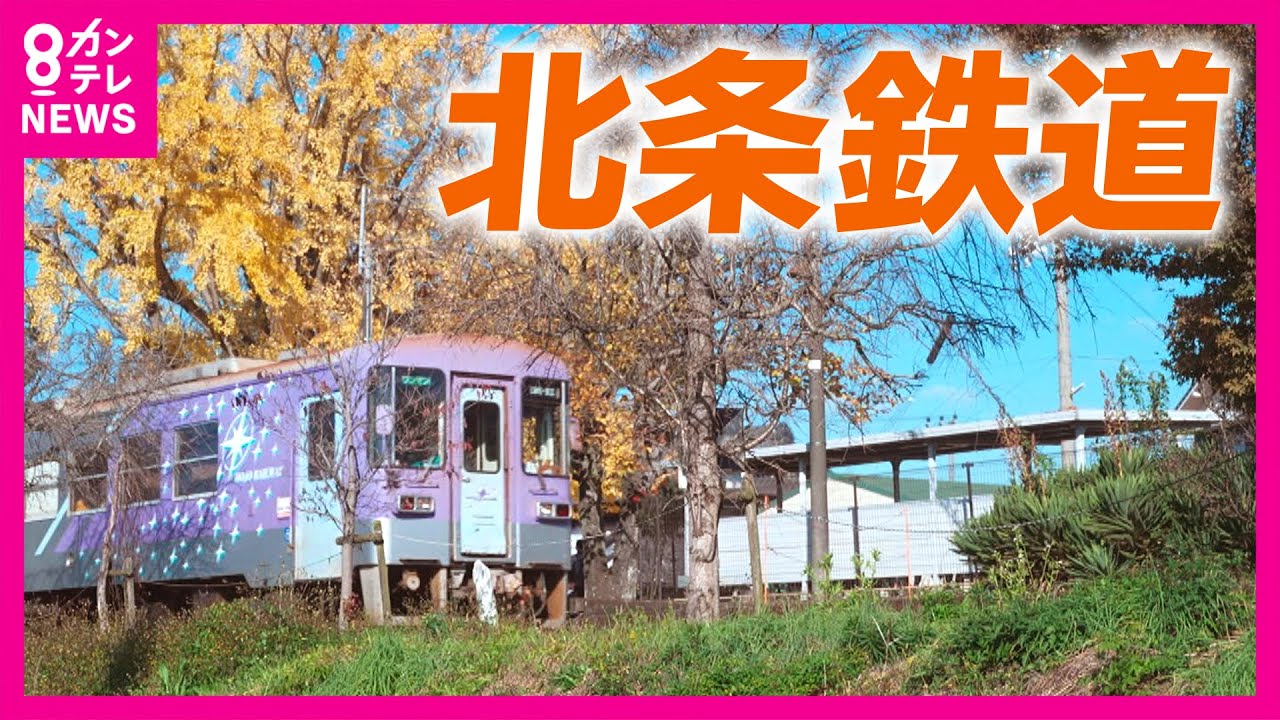 loadlimits's tweet card. 【兵庫・北条鉄道】SNSで話題の秋の風景　運転士の成長を見守る無人駅の“イチョウ”｜newsランナー〈カンテレNEWS〉