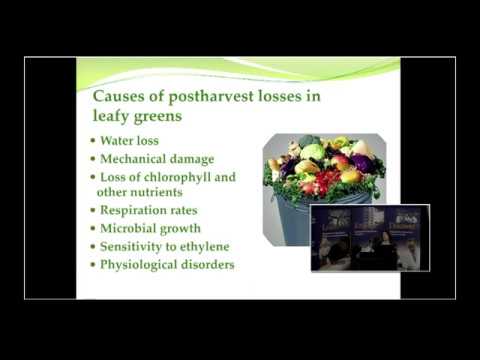 pvamu_cep's tweet card. Leafy Greens Workshop - Part 8/9