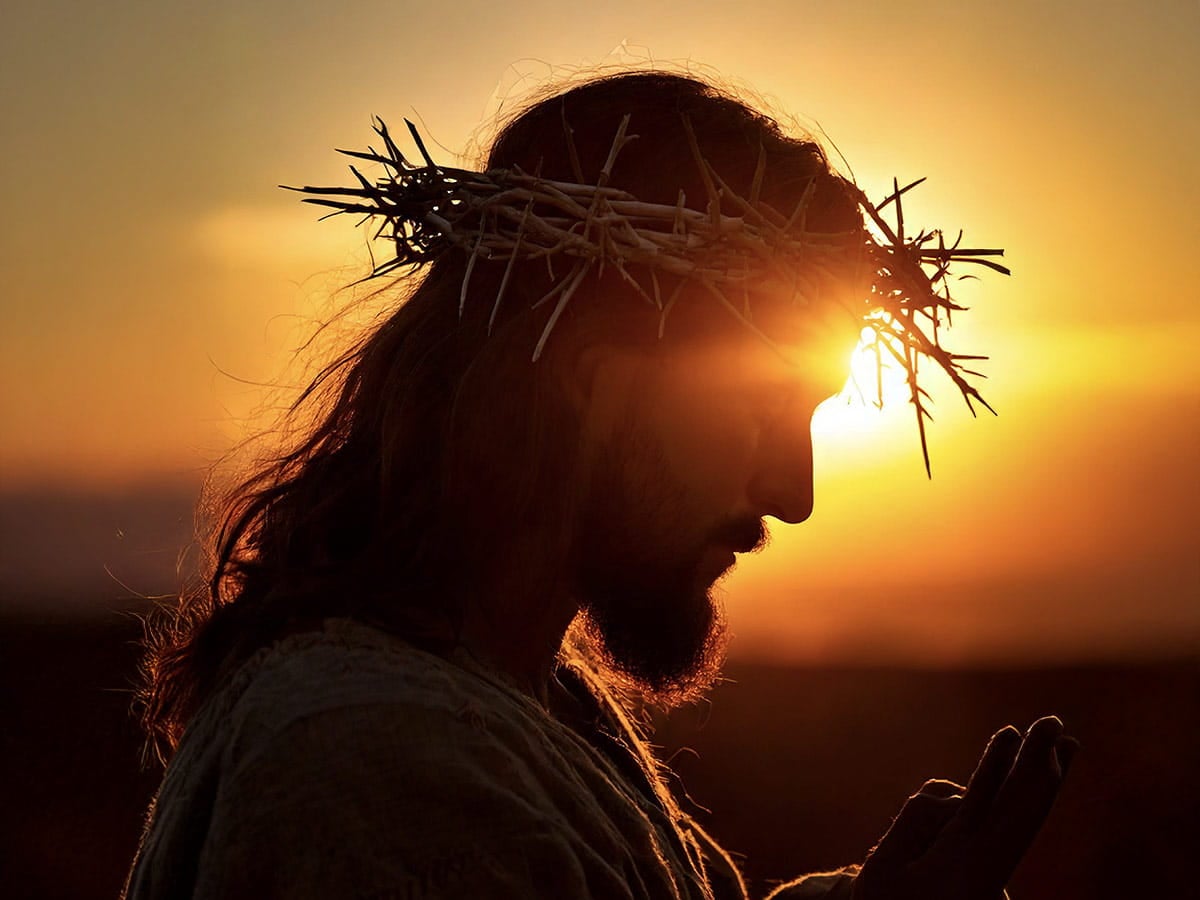 CSLewisDaily's tweet card. Explore why Jesus is called the King of the Jews even though many Jewish leaders rejected Him as Messiah—biblical and historical insight.