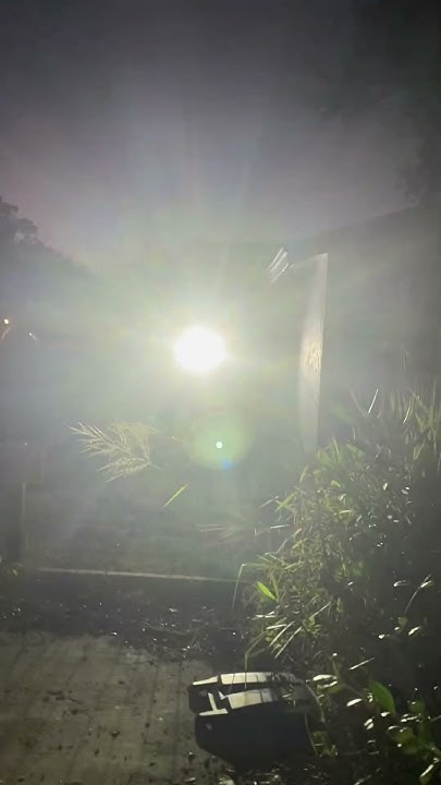 theflowernurse's tweet card. This is what it’s like living next-door to a deviant . #pasco