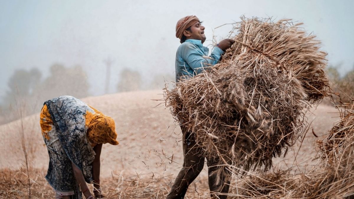 gaonjunctionofc's tweet card. केंद्र ने असंगठित क्षेत्र में काम करने वाले करोड़ों श्रमिकों को आर्थिक और सामाजिक सुरक्षा देने के लिए ई-श्रम योजना