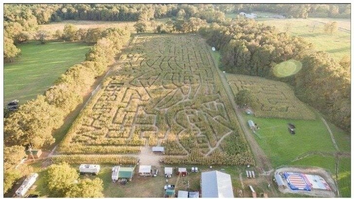 CosmicAdonis's tweet card. Recognize a farmers right to conduct Agritourism in EBR