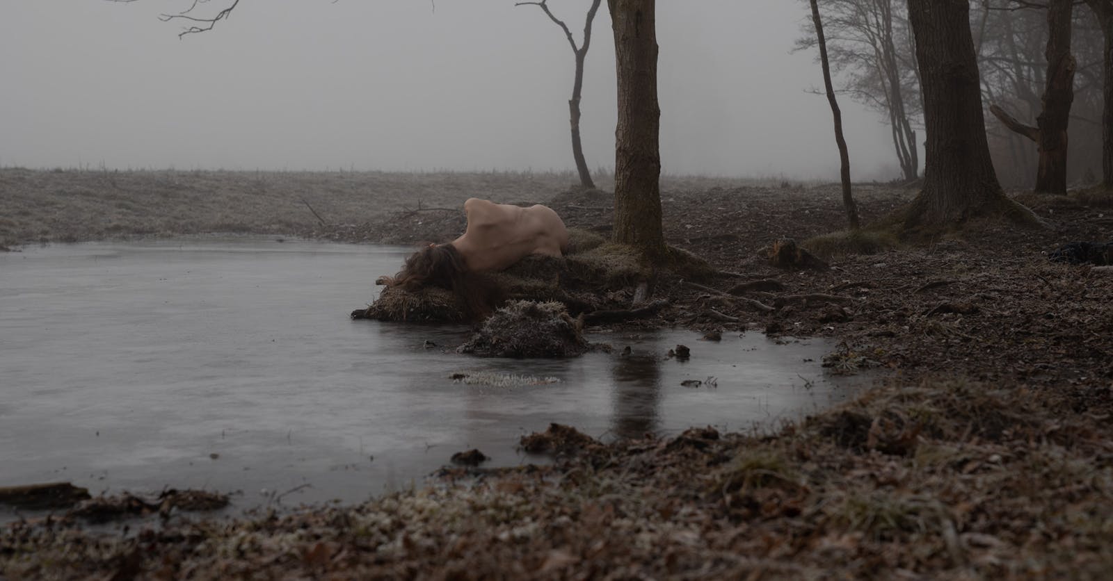 mariafynsknorup's tweet card. How do you speak about the quintessential importance of our connection to the natural world, in a time where grounding and reflection is so often forgotten inbetween our dreams and worries about the...