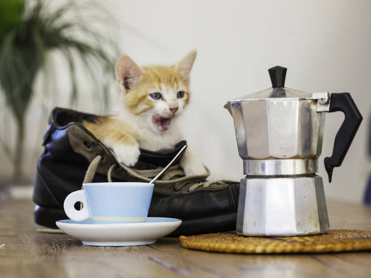 MerriamWebster's tweet card. Wake up, people.