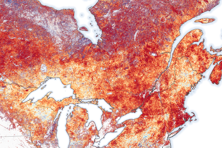 ASP_Mark's tweet card. Researchers used field observations and remote sensing data to map the spread of the bacteria-carrying ticks in central and eastern Canada.