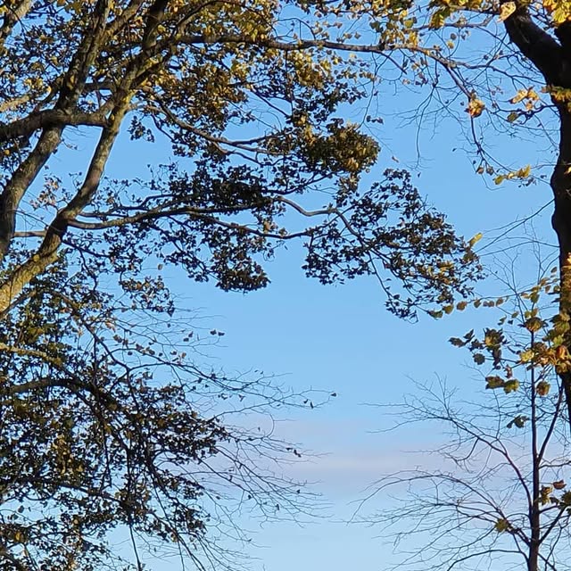 VEdimburgo's tweet card. Vivendo em Edimburgo (@vivendoemedimburgo) • Instagram photo