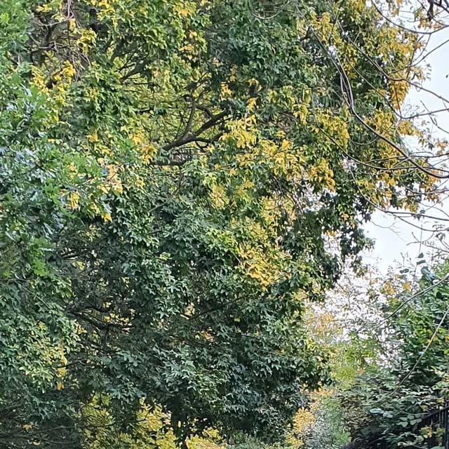 VEdimburgo's tweet card. Vivendo em Edimburgo (@vivendoemedimburgo) • Instagram photo