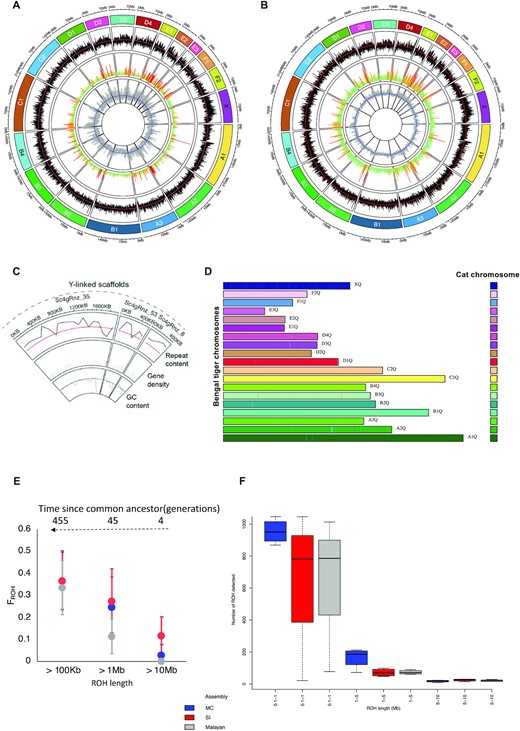 Anubhab_Khan's tweet card. Abstract. The tiger, a poster child for conservation, remains an endangered apex predator. Continued survival and recovery will require a comprehensive und